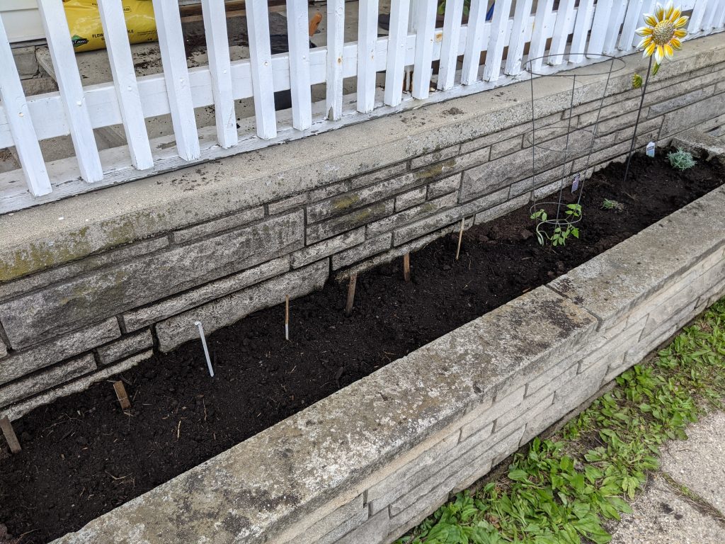 A raised planter with stakes and a few plants